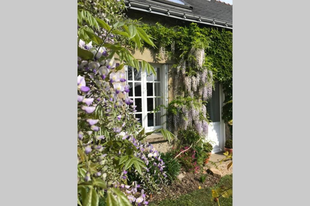 Villa Walnut Tree Gite Brittany à Boderel Extérieur photo