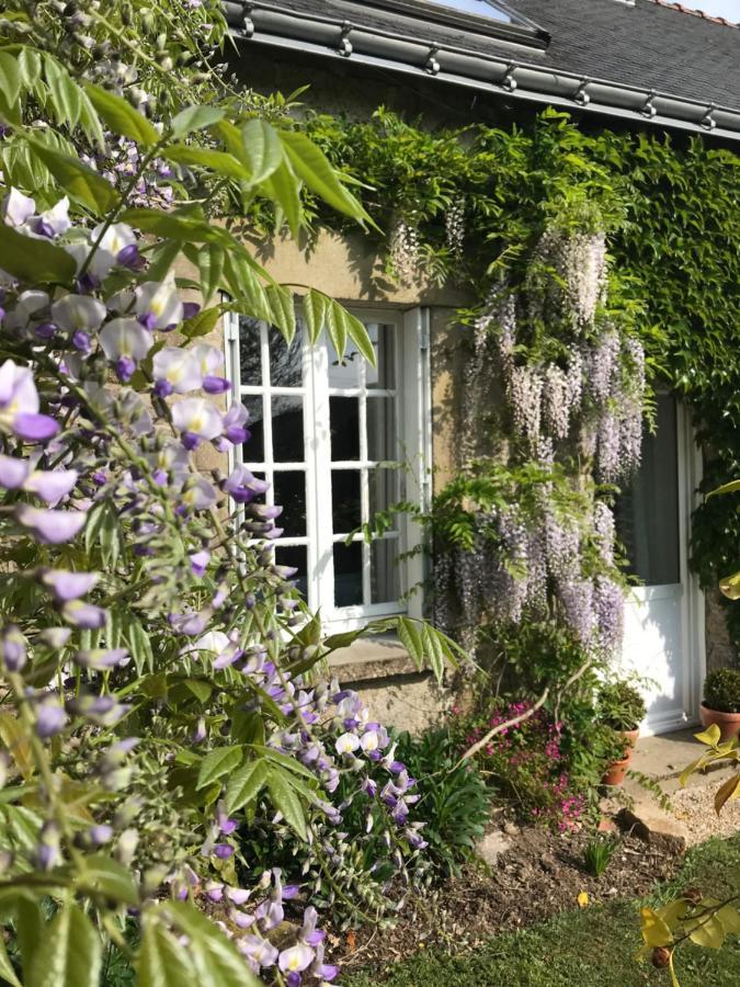 Villa Walnut Tree Gite Brittany à Boderel Extérieur photo