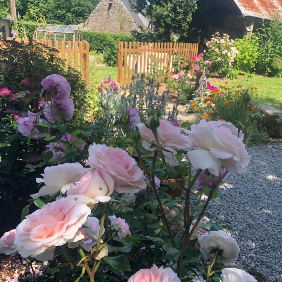 Villa Walnut Tree Gite Brittany à Boderel Extérieur photo